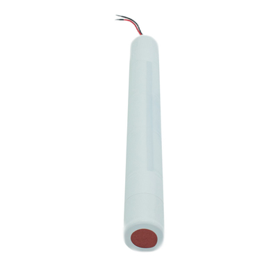 Loại thanh Pin 6.0 Volt D4000mah Ni Cd Exit Light Pin
